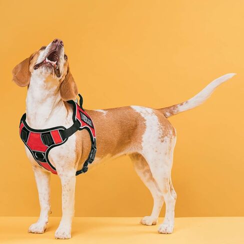 Dogline Quest No-Pull Dog Sharness مع تنبيه السكري بقع قابلة للإزالة قابلة للإزالة عاكسة ناعمة ناعمة مريحة الكلب مع الإصدار السريع الأبواب المزدوجة الأجهزة السوداء والتعامل مع 15 إلى 18 بوصة أحمر in Kuwait