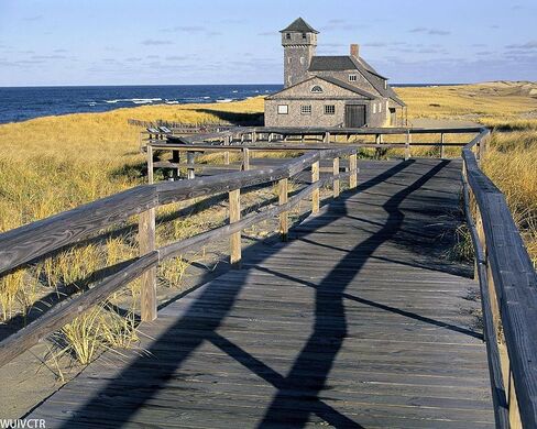 Wuivctr Paint Cape Cod National Seashore Paint Paint by Numce in Saudi Arabia