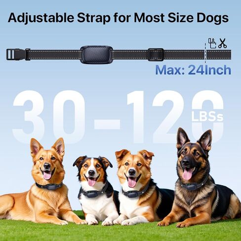 Bark Collar, Automatic Dog Bark Collar with 3 Effective Training Modes& 8 Sensitivity for Medium Large Dogs, Rechargeable Smart Anti Bark Training Collars for Dog Indoor & Outdoor Use in Saudi Arabia