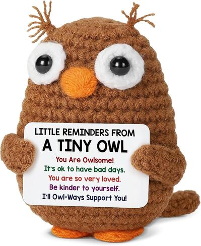 Positive Crochet Animals Owl Gifts for Friends Coworkers, Inspirational Cheer Up Gifts for Women Men, Emotional Support Crochet Owl with Little Reminders Card, Christmas Birthday Gift in Saudi Arabia