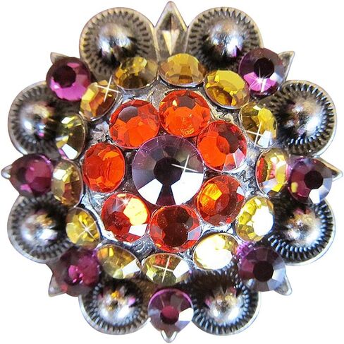 HILASON Set of 2 Western Screw Back Concho Fuchsia Topaz Crystal Bling Cowgirl Fuchsia, Hyacinth & Light Smoked Color in Saudi Arabia