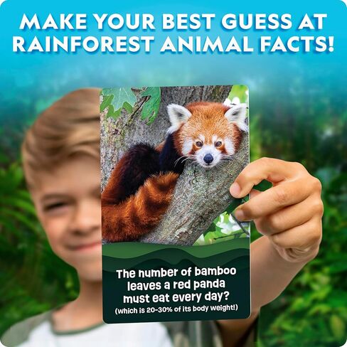 National Geographic National أي شخص تخمين Rainforest Animals Trivia Cards - لعبة بطاقة أطفال Trivia مع 55 بطاقة Jumbo ، ألعاب الحيوانات ، لعبة التوافه in Saudi Arabia