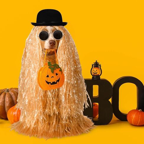 4 PCS PET HALOWEEN COSTUME CHOSTE DERBY HAT ، LUAU HULA TARTS and Round Round Sunglass for Halloween Funny Dog COSTUME COSPLAY in Saudi Arabia