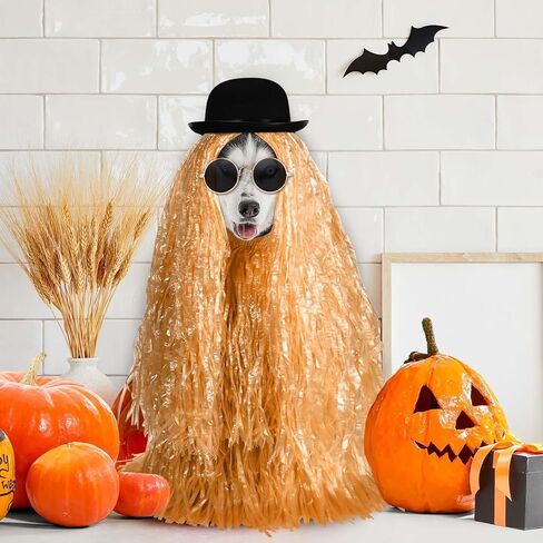 4 PCS PET HALOWEEN COSTUME CHOSTE DERBY HAT ، LUAU HULA TARTS and Round Round Sunglass for Halloween Funny Dog COSTUME COSPLAY in Saudi Arabia