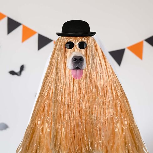 4 PCS PET HALOWEEN COSTUME CHOSTE DERBY HAT ، LUAU HULA TARTS and Round Round Sunglass for Halloween Funny Dog COSTUME COSPLAY in Saudi Arabia