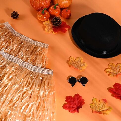 4 PCS PET HALOWEEN COSTUME CHOSTE DERBY HAT ، LUAU HULA TARTS and Round Round Sunglass for Halloween Funny Dog COSTUME COSPLAY in Saudi Arabia