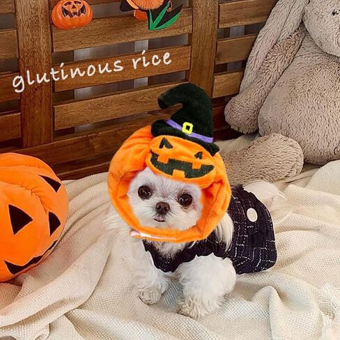 ANIAC Dog Pumpkin Costume Halloween Cat Pumpkin Outfit Funny Puppy Clothes for Small Dogs Pet Party Cosplay Accessories (Orange Clohes, X-Small) in Saudi Arabia