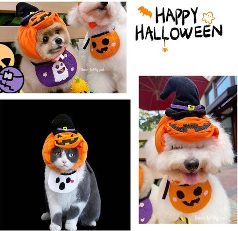 ANIAC Dog Pumpkin Costume Halloween Cat Pumpkin Outfit Funny Puppy Clothes for Small Dogs Pet Party Cosplay Accessories (Orange Clohes, X-Small) in Saudi Arabia