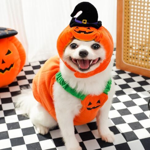 ANIAC Dog Pumpkin Costume Halloween Cat Pumpkin Outfit Funny Puppy Clothes for Small Dogs Pet Party Cosplay Accessories (Orange Clohes, X-Small) in Saudi Arabia