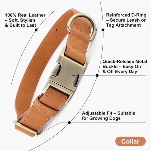 Plutus Pet Leature Leather Cog Collar-طوق للحيوانات الأليفة القابلة للتعديل مع مشبك معدني سريع إطلاقه ، جلد حقيقي ناعم للكلاب الكبيرة المتوسطة الكبيرة ، والخدمة الشديدة الصديقة للبشرة (بني فاتح ، XS) in Kuwait