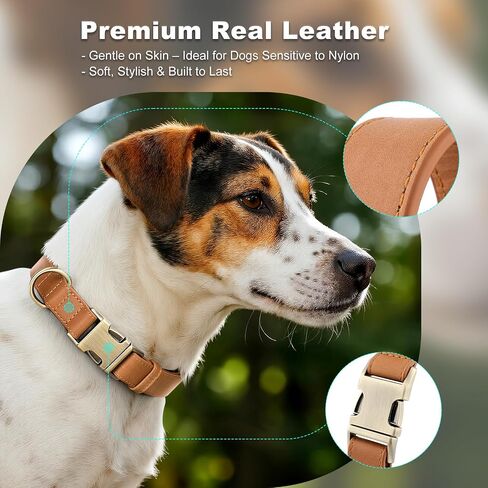 Plutus Pet Leature Leather Cog Collar-طوق للحيوانات الأليفة القابلة للتعديل مع مشبك معدني سريع إطلاقه ، جلد حقيقي ناعم للكلاب الكبيرة المتوسطة الكبيرة ، والخدمة الشديدة الصديقة للبشرة (بني فاتح ، XS) in Kuwait