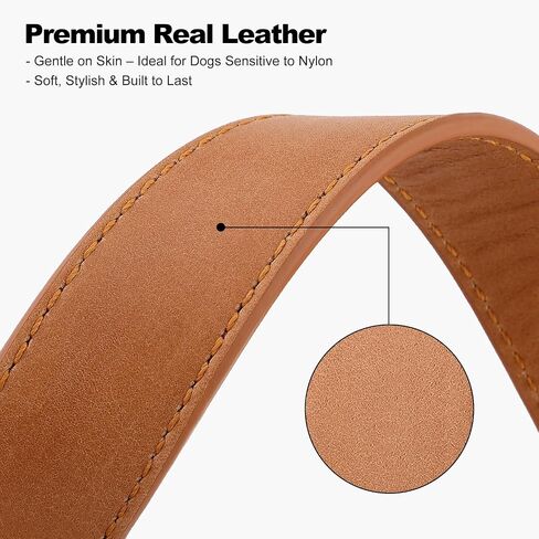 Plutus Pet Leature Leather Cog Collar-طوق للحيوانات الأليفة القابلة للتعديل مع مشبك معدني سريع إطلاقه ، جلد حقيقي ناعم للكلاب الكبيرة المتوسطة الكبيرة ، والخدمة الشديدة الصديقة للبشرة (بني فاتح ، XS) in Kuwait
