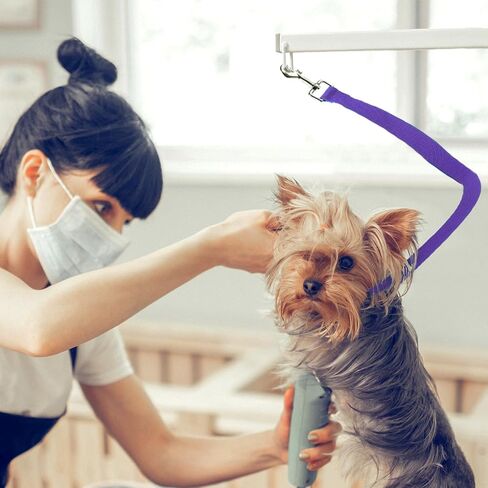 حلقات Glooming Grooming Pet Dog Royps Nylon Banose قابلة للتعديل قابلة للتعديل حبل سلامة Cat Cat للحيوانات الأليفة طاولة الاستمالة في المنزل معلقة تسخير لقطعة القطع الأظافر. in Kuwait