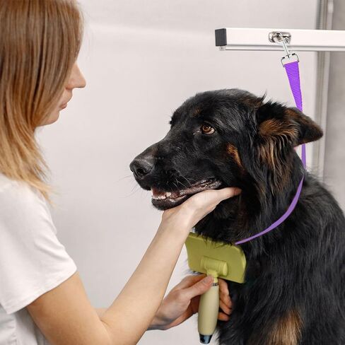 حلقات Glooming Grooming Pet Dog Royps Nylon Banose قابلة للتعديل قابلة للتعديل حبل سلامة Cat Cat للحيوانات الأليفة طاولة الاستمالة في المنزل معلقة تسخير لقطعة القطع الأظافر. in Kuwait