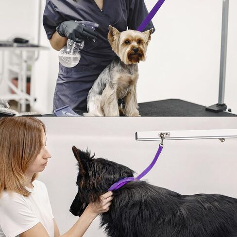حلقات Glooming Grooming Pet Dog Royps Nylon Banose قابلة للتعديل قابلة للتعديل حبل سلامة Cat Cat للحيوانات الأليفة طاولة الاستمالة في المنزل معلقة تسخير لقطعة القطع الأظافر. in Kuwait