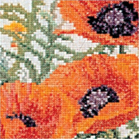Thea Gouverneur - Counted Cross Stitch Kit - Orange Poppies - Aida - 16 Count - Embroidery Kit for Adults - DMC Embroidery Threads and Other Cross Stitch Supplies Included - 2062A in Saudi Arabia