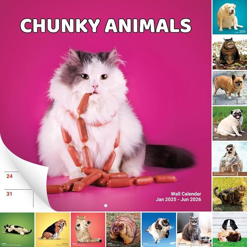 Super Cute and Hilarious 18 Month Chunky Animals Wall Calendar 2025-2026. Big 12x12 Inch Novelty Gift for Men and Women. Funny Stocking Stuffer, Office Decor, or White Elephant Idea for Animal Lovers in Saudi Arabia