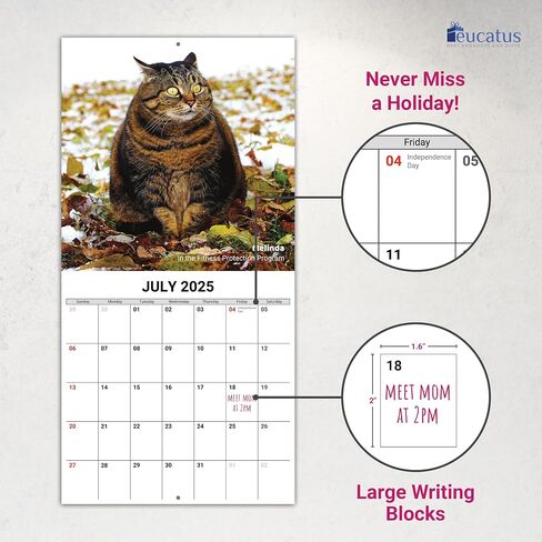 Super Cute and Hilarious 18 Month Chunky Animals Wall Calendar 2025-2026. Big 12x12 Inch Novelty Gift for Men and Women. Funny Stocking Stuffer, Office Decor, or White Elephant Idea for Animal Lovers in Saudi Arabia