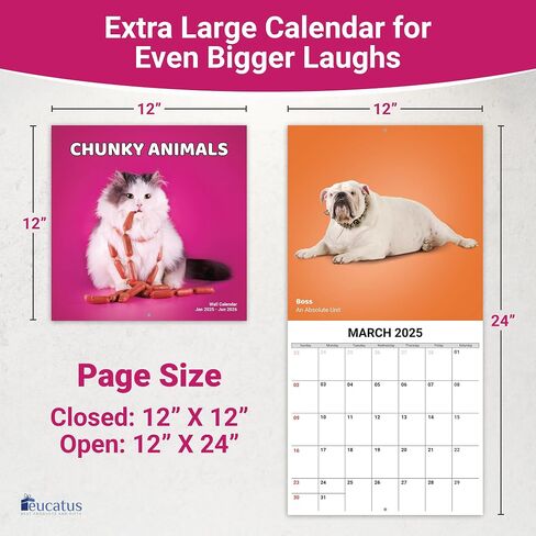 Super Cute and Hilarious 18 Month Chunky Animals Wall Calendar 2025-2026. Big 12x12 Inch Novelty Gift for Men and Women. Funny Stocking Stuffer, Office Decor, or White Elephant Idea for Animal Lovers in Saudi Arabia