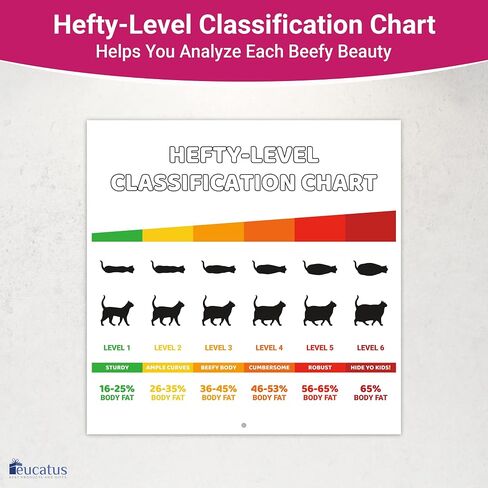 Super Cute and Hilarious 18 Month Chunky Animals Wall Calendar 2025-2026. Big 12x12 Inch Novelty Gift for Men and Women. Funny Stocking Stuffer, Office Decor, or White Elephant Idea for Animal Lovers in Saudi Arabia