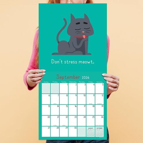 TF Publishing 2026 Puns of Fun Wall Calendar - شبكات كبيرة للتعيينات والجدولة - تقويم الحائط الشهري العمودي 2026 مع ورق ماتي مريح لمنظمة المنزل والمكاتب - 12 بوصة × 12 بوصة in Kuwait
