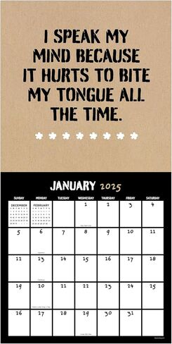 TF Publishing 2026 Puns of Fun Wall Calendar - شبكات كبيرة للتعيينات والجدولة - تقويم الحائط الشهري العمودي 2026 مع ورق ماتي مريح لمنظمة المنزل والمكاتب - 12 بوصة × 12 بوصة in Kuwait