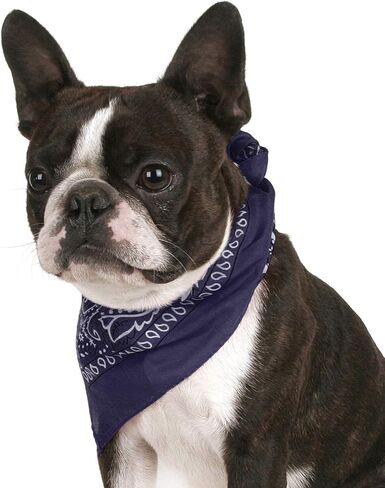 حزمة من 8 Paisley Cotton Dog Bandana شكل مثلث - حجم واحد يناسب أكثر (مزيج in Kuwait