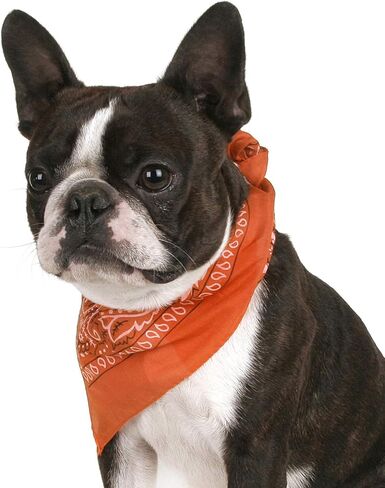 حزمة من 8 Paisley Cotton Dog Bandana شكل مثلث - حجم واحد يناسب أكثر (مزيج in Kuwait
