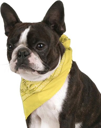 حزمة من 8 Paisley Cotton Dog Bandana شكل مثلث - حجم واحد يناسب أكثر (مزيج in Kuwait