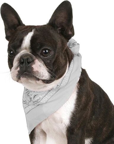 حزمة من 8 Paisley Cotton Dog Bandana شكل مثلث - حجم واحد يناسب أكثر (مزيج in Kuwait