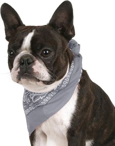 حزمة من 8 Paisley Cotton Dog Bandana شكل مثلث - حجم واحد يناسب أكثر (مزيج in Kuwait