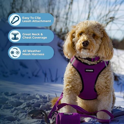 Voyager Step-in Air Dog Harness - All Weather Mesh, Reflective, No Pull Harness for Small, Medium Dogs, Cats - Secure with Hook & Loop Fastener, Buckle, Double D-Rings - Purple/Black Trim, XS in Saudi Arabia