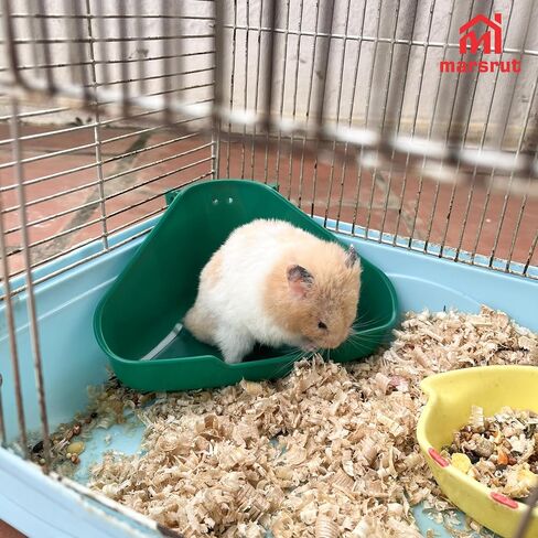 Small Corner Litter Box for Ferrets Rats Guinea Pigs Rabbits Other Animals Baby Chinchillas, Fanshaped Triangle Odorless Reinforced Sturdy Pan Bedding, Splash Proof Potty Trainer (Green, 6.5"x3.0") in Saudi Arabia