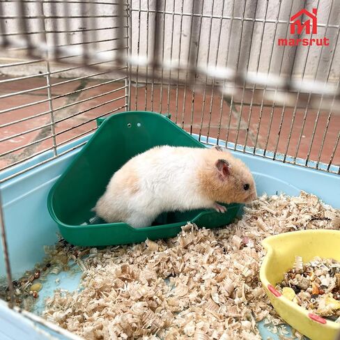 Small Corner Litter Box for Ferrets Rats Guinea Pigs Rabbits Other Animals Baby Chinchillas, Fanshaped Triangle Odorless Reinforced Sturdy Pan Bedding, Splash Proof Potty Trainer (Green, 6.5"x3.0") in Saudi Arabia