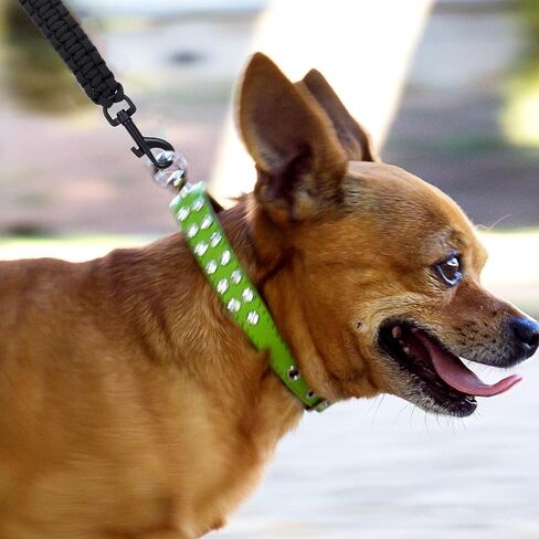 مقطع السلامة من طوق الكلب الشق ، مقود الكلب المزدوج مع بديل حزام الكتف العالمي وموصل قفل المشبك المزدوج ، الأسود in Kuwait