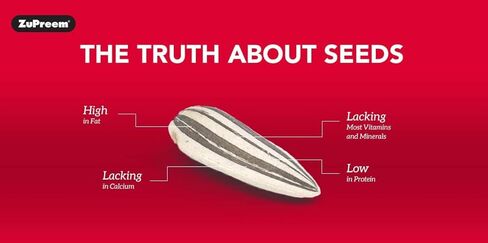 Zupreem 230305 Fruitblend X-Small Canary/Finch Food, 14-Ounce in Kuwait