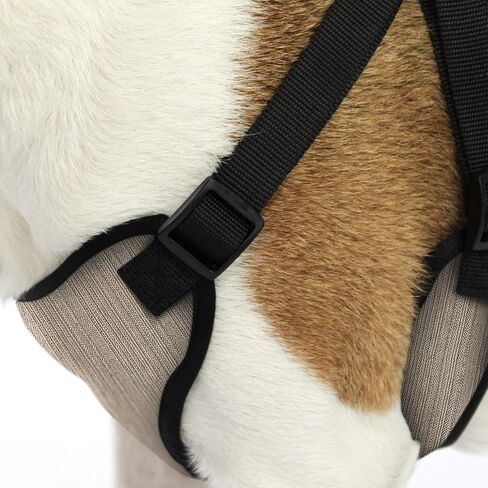 AKC Premium Padded Step-in Dog Harness – Soft Comfort Fit with Dual D-Ring No Pull Control – Small, Medium, Large – Blue, Gray, Green, Tan in Saudi Arabia