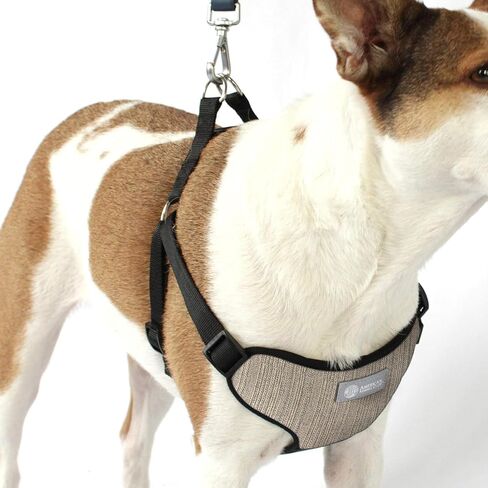 AKC Premium Padded Step-in Dog Harness – Soft Comfort Fit with Dual D-Ring No Pull Control – Small, Medium, Large – Blue, Gray, Green, Tan in Saudi Arabia