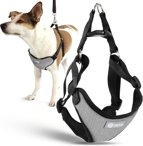 AKC Premium Padded Step-in Dog Harness – Soft Comfort Fit with Dual D-Ring No Pull Control – Small, Medium, Large – Blue, Gray, Green, Tan in Saudi Arabia