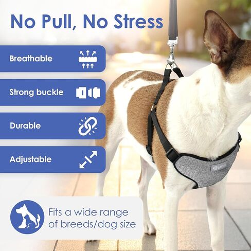 AKC Premium Padded Step-in Dog Harness – Soft Comfort Fit with Dual D-Ring No Pull Control – Small, Medium, Large – Blue, Gray, Green, Tan in Saudi Arabia