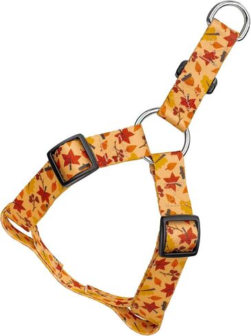 Country Brook Petz - Fall Loage Step -in Dog Harness - مجموعة رائعة من الخريف التي تتميز بتصميمات ستسقطها (5/8 بوصة ، صغيرة) in Saudi Arabia