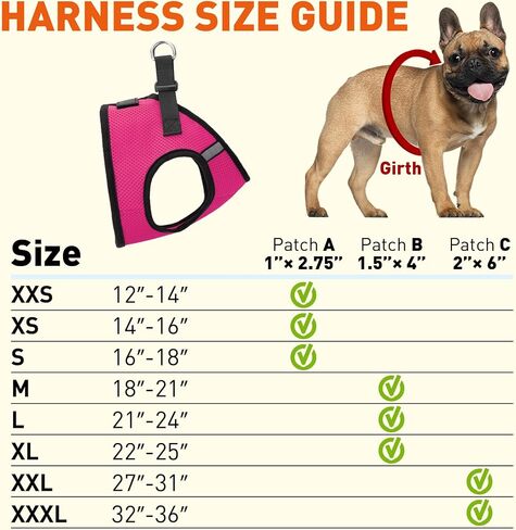 Dogline Boston Step in Mesh Dog Sharness مع خدمة Dog Patch No Choke Pet Vest Stest ناعمة لطيفة من الصدر مبطنة للجرو المتوسطة الصغيرة والكلاب الكبيرة من 18 إلى 21 بوصة. in Saudi Arabia
