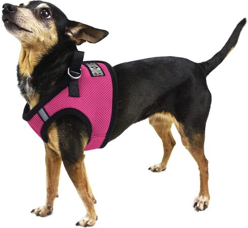 Dogline Boston Step in Mesh Dog Sharness مع خدمة Dog Patch No Choke Pet Vest Stest ناعمة لطيفة من الصدر مبطنة للجرو المتوسطة الصغيرة والكلاب الكبيرة من 18 إلى 21 بوصة. in Saudi Arabia