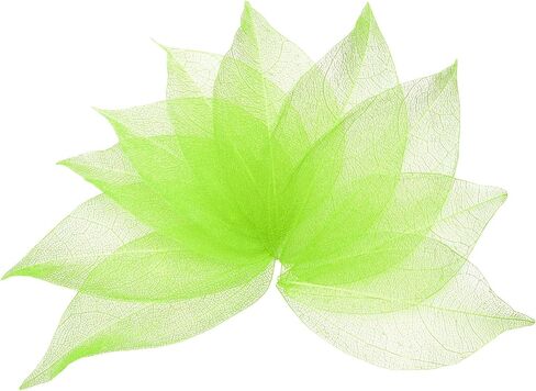 uxcell 100 Pcs White Skeleton Leaves, 2"- 3" Rubber Tree Scrapbooking Dried Pressed Leaves Vein for Photo Albums Crafts Wedding Cards Arrangements Decor Gifts in Saudi Arabia