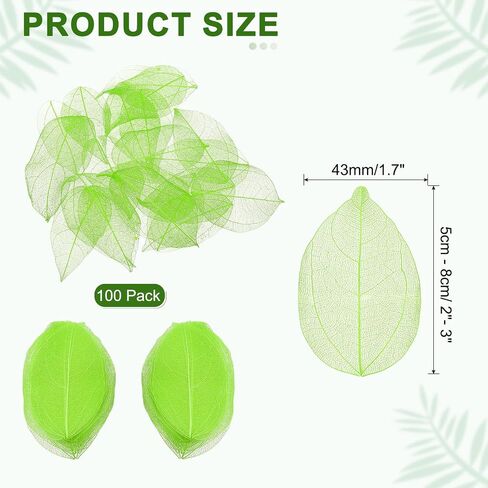 uxcell 100 Pcs White Skeleton Leaves, 2"- 3" Rubber Tree Scrapbooking Dried Pressed Leaves Vein for Photo Albums Crafts Wedding Cards Arrangements Decor Gifts in Saudi Arabia