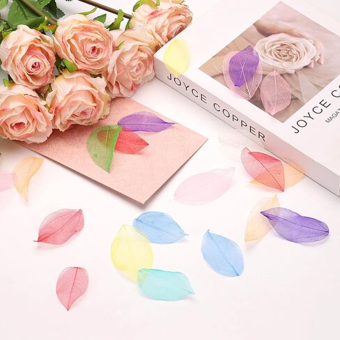 uxcell 100 Pcs White Skeleton Leaves, 2"- 3" Rubber Tree Scrapbooking Dried Pressed Leaves Vein for Photo Albums Crafts Wedding Cards Arrangements Decor Gifts in Saudi Arabia