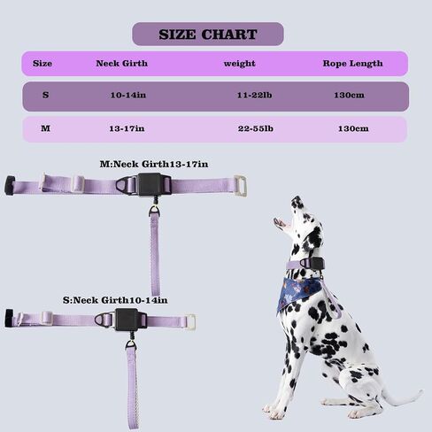 Retractable Dog Leash Collar - 200lb Heavy Duty Kevlar Rope, 5FT Silent Auto-Retraction - one-Piece Design Cotton Padded Adjustable Neck - 2025 - Training Leash for Small/Medium/Large Dogs (Purple, M) in Kuwait