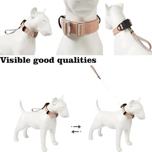 Retractable Dog Leash Collar - 200lb Heavy Duty Kevlar Rope, 5FT Silent Auto-Retraction - one-Piece Design Cotton Padded Adjustable Neck - 2025 - Training Leash for Small/Medium/Large Dogs (Purple, M) in Kuwait