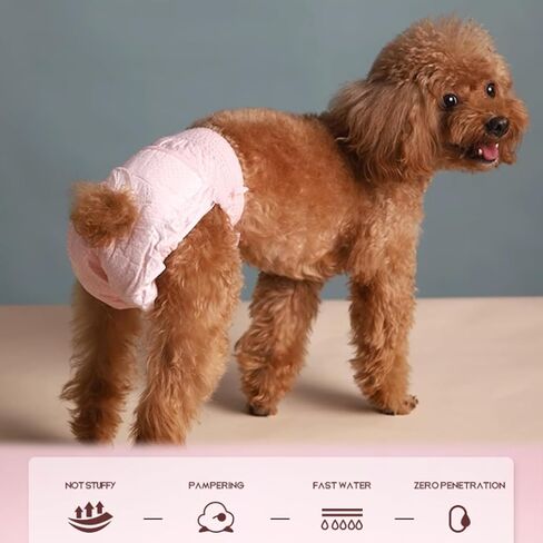 Stretchy Disposable Diapers - 10 Pcs Leak-Proof Pull-ups for Cats & Female Dogs in Heat, Incontinence & Training (S, Pink) in Kuwait