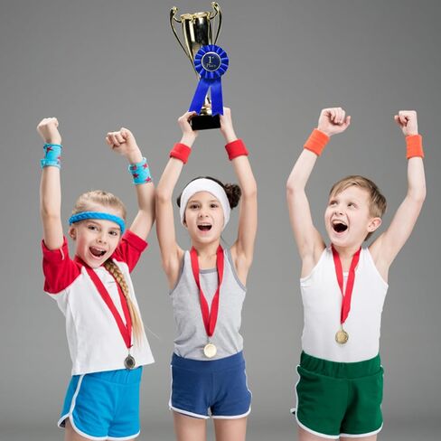 3 PCS Award Dibbons مجموعة وردية ، أول أشرطة المركز الثالث ، جائزة الشريط الثالث الثاني ، الشريط الشرف الأول ، المركز الثالث للاعتراف بالفصول الدراسية ، عرض المواهب ، الأحداث الرياضية (Blue Red White) in Saudi Arabia